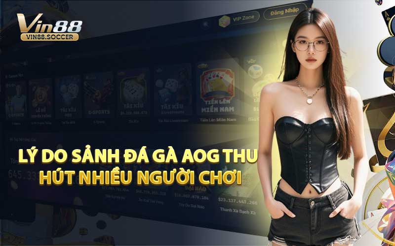 Lý Do Sảnh Đá Gà AOG Thu Hút Nhiều Người Chơi