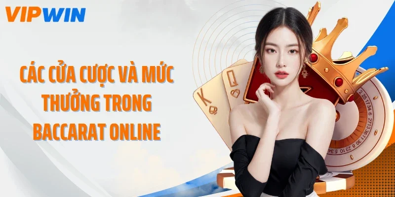 Các cửa cược và mức thưởng trong Baccarat Online